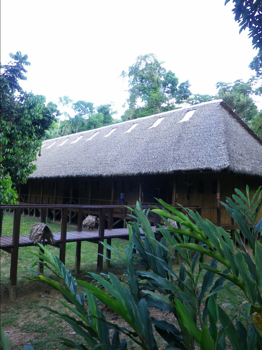 The Lodge29